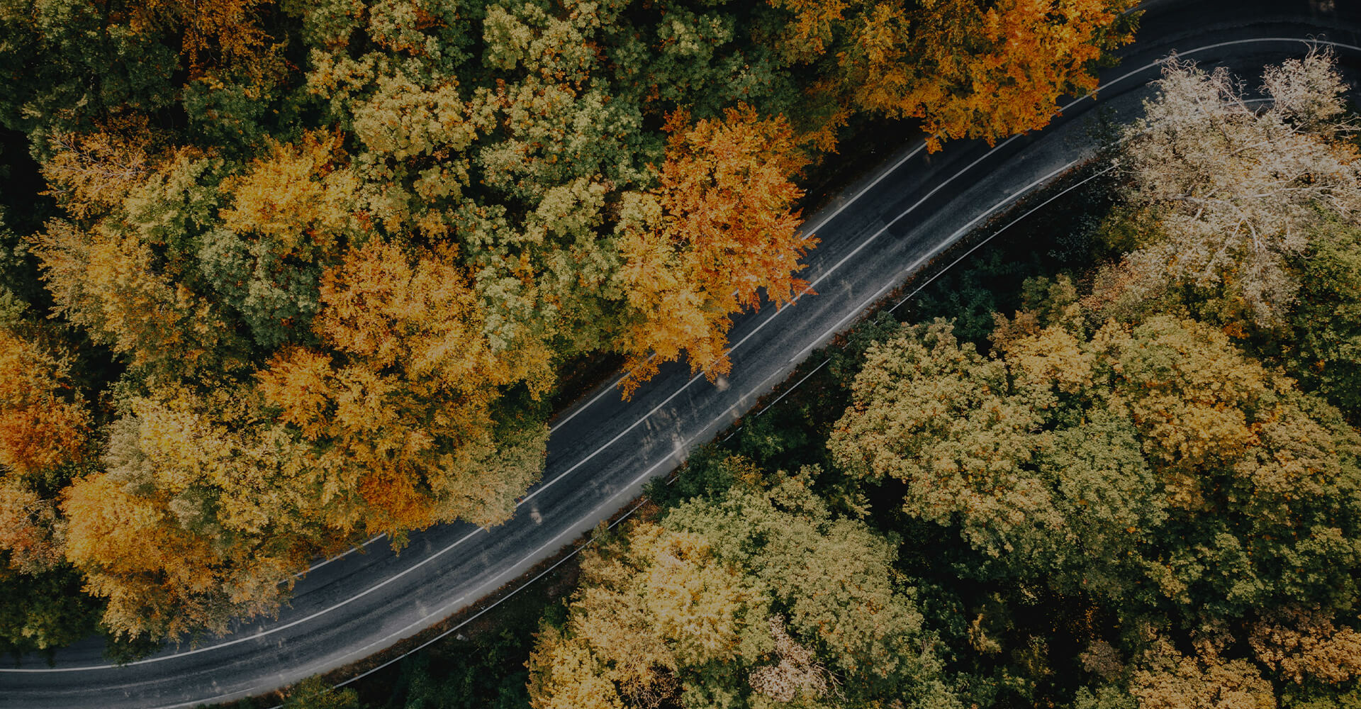 FRANKIA – Handelspartner finden FRANKIA – Handelspartner finden